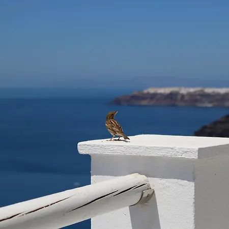 Asma Fira (Santorini)