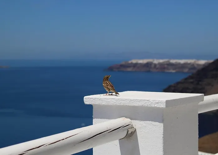 أسماء سويتس ثيرا